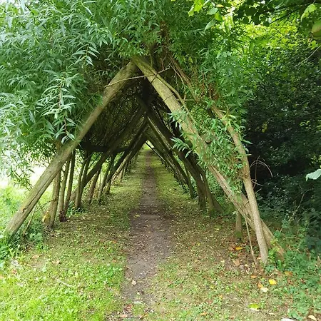 Ririland Séjour chez l'habitant *